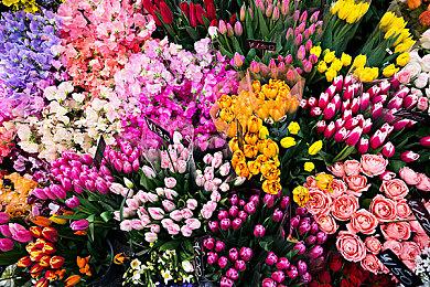 《合金装备3》重制版蛇叔配音称 没小岛秀夫照样惊艳